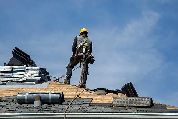 Professional Roofing technician working in Guinda, CA
